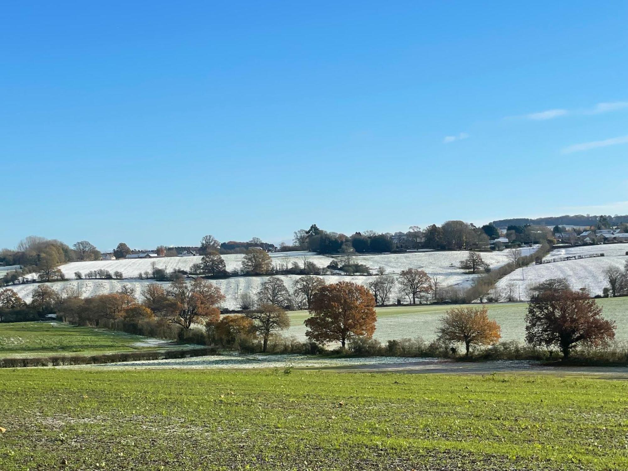 Bank Cottage Studio - Luxury Cotswolds Haven For Two Shipston-on-Stour Dış mekan fotoğraf